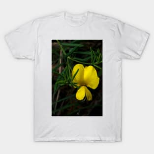 Common Wedge Pea T-Shirt